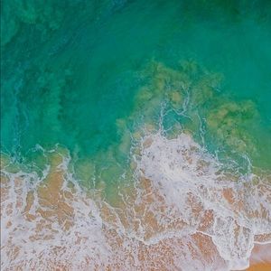 Meet your Posher, Peter